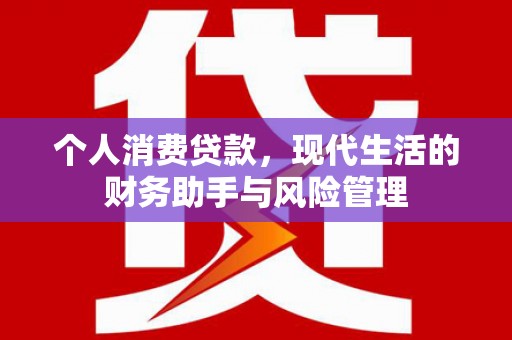 叶县个人消费贷款，现代生活的财务助手与风险管理