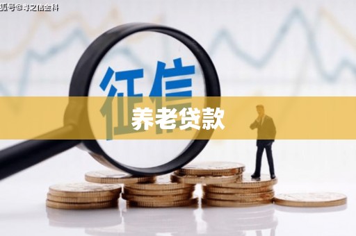 叶县养老贷款