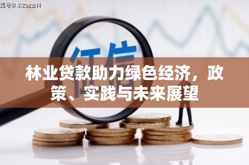 叶县林业贷款助力绿色经济，政策、实践与未来展望