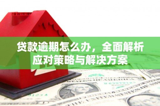 叶县贷款逾期怎么办，全面解析应对策略与解决方案
