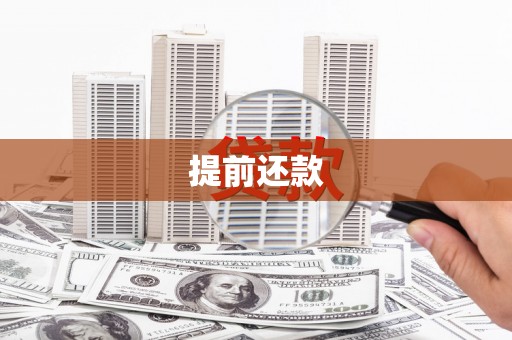 叶县提前还款