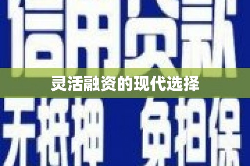 叶县灵活融资的现代选择