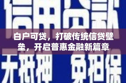 叶县白户可贷，打破传统信贷壁垒，开启普惠金融新篇章