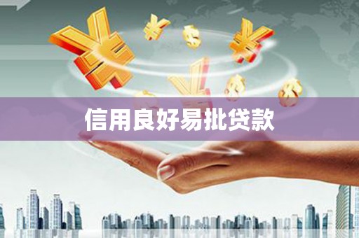 叶县信用良好易批贷款