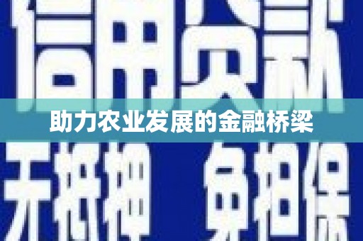叶县助力农业发展的金融桥梁