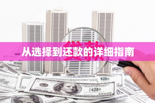 叶县从选择到还款的详细指南