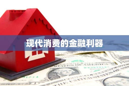叶县现代消费的金融利器