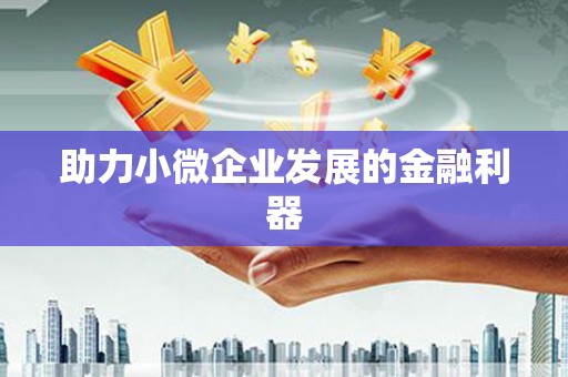 叶县助力小微企业发展的金融利器