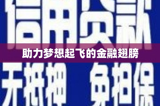 叶县助力梦想起飞的金融翅膀