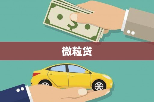 叶县微粒贷