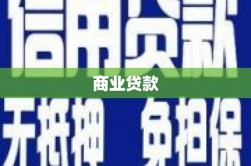 叶县商业贷款