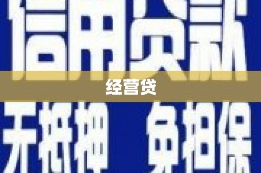 叶县经营贷