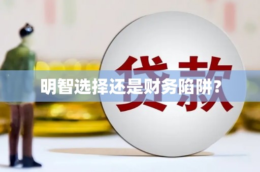 叶县明智选择还是财务陷阱？