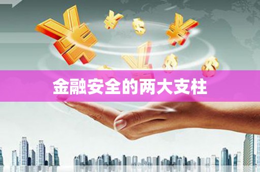 叶县金融安全的两大支柱