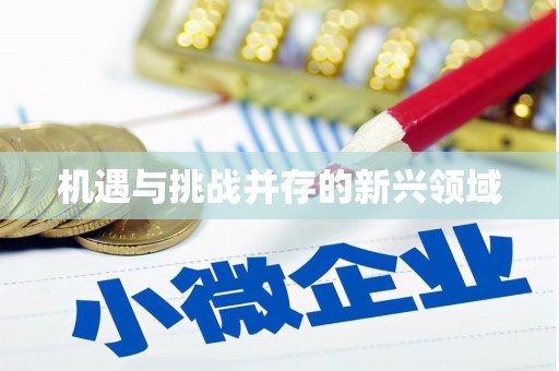 叶县机遇与挑战并存的新兴领域