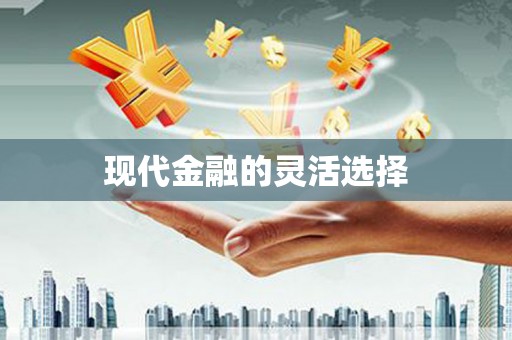 叶县现代金融的灵活选择