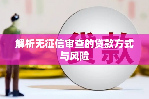 叶县解析无征信审查的贷款方式与风险