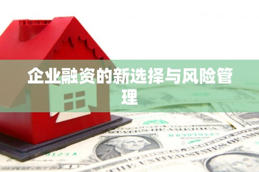 叶县企业融资的新选择与风险管理