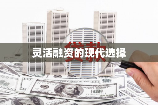 叶县灵活融资的现代选择
