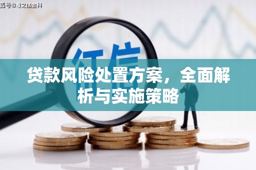 叶县贷款风险处置方案，全面解析与实施策略