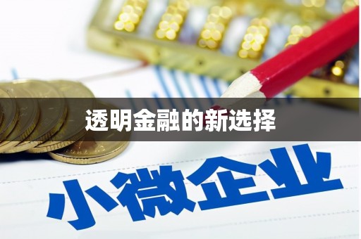 叶县透明金融的新选择