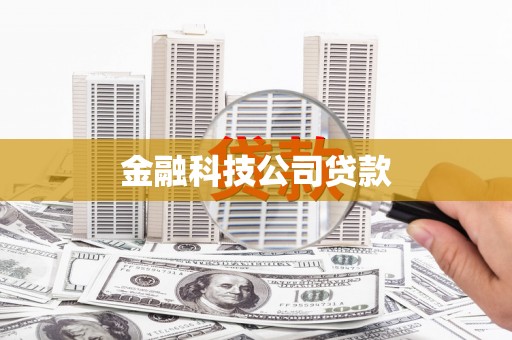 叶县金融科技公司贷款