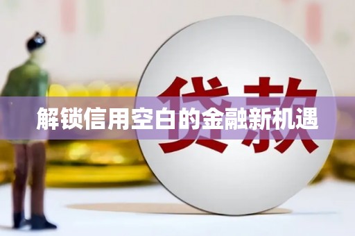 叶县解锁信用空白的金融新机遇