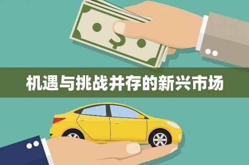 叶县机遇与挑战并存的新兴市场