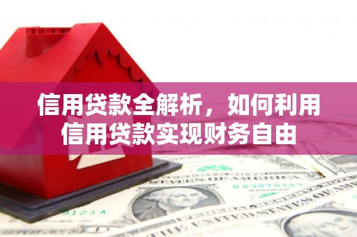 叶县信用贷款全解析，如何利用信用贷款实现财务自由