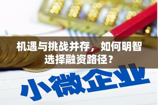 叶县机遇与挑战并存，如何明智选择融资路径？