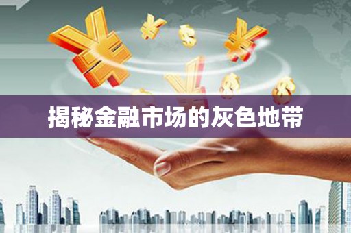 叶县揭秘金融市场的灰色地带