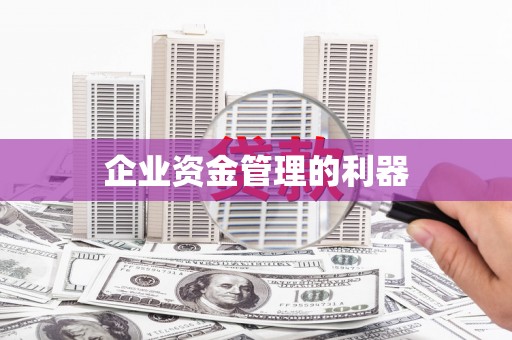 叶县企业资金管理的利器