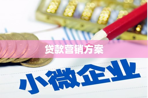 叶县贷款营销方案