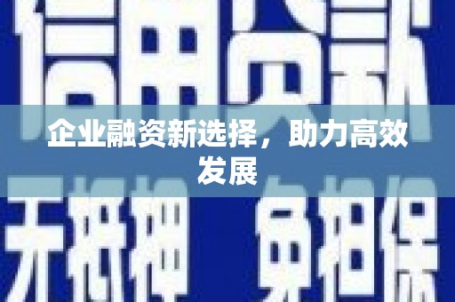 叶县企业融资新选择，助力高效发展