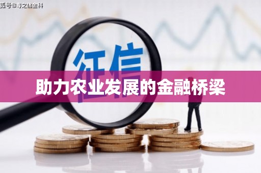 叶县助力农业发展的金融桥梁
