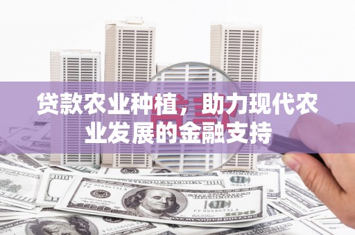 叶县贷款农业种植，助力现代农业发展的金融支持
