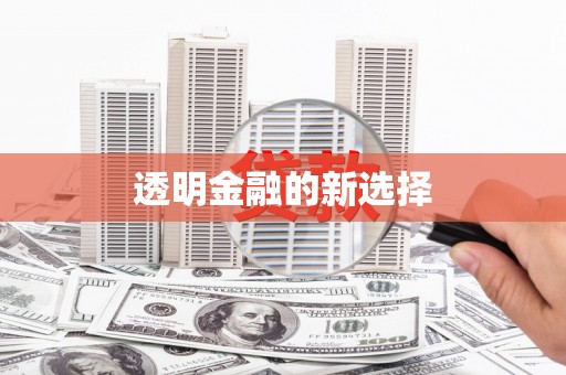 叶县透明金融的新选择