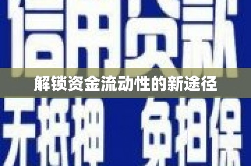 叶县解锁资金流动性的新途径