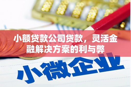 叶县小额贷款公司贷款，灵活金融解决方案的利与弊