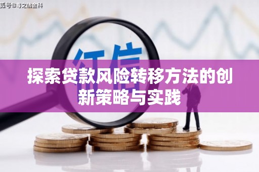 叶县探索贷款风险转移方法的创新策略与实践