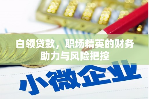 叶县白领贷款，职场精英的财务助力与风险把控