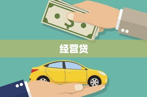 叶县经营贷